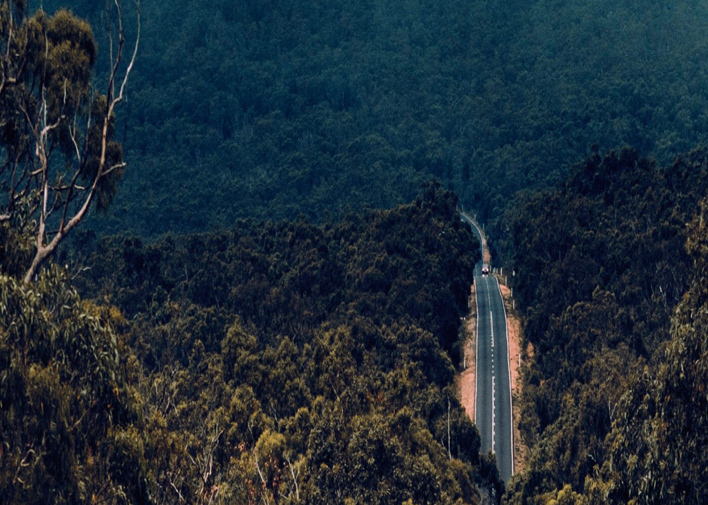 Pathway