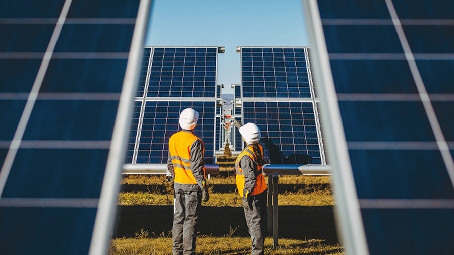 A solar farm