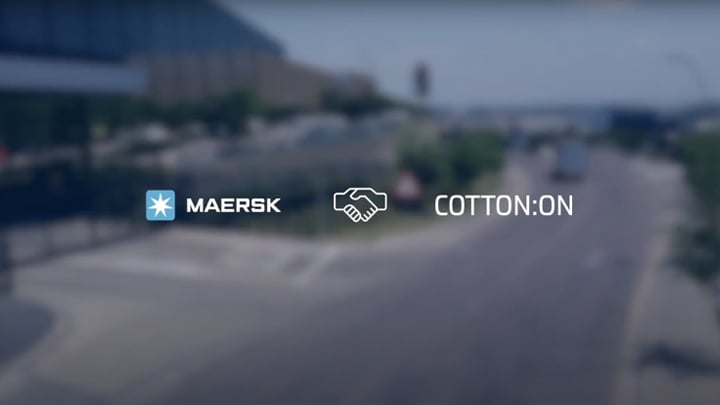 Experts at cotton