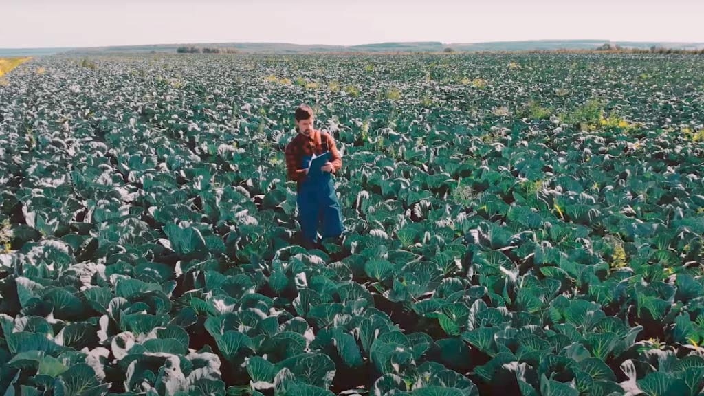 farmer at field