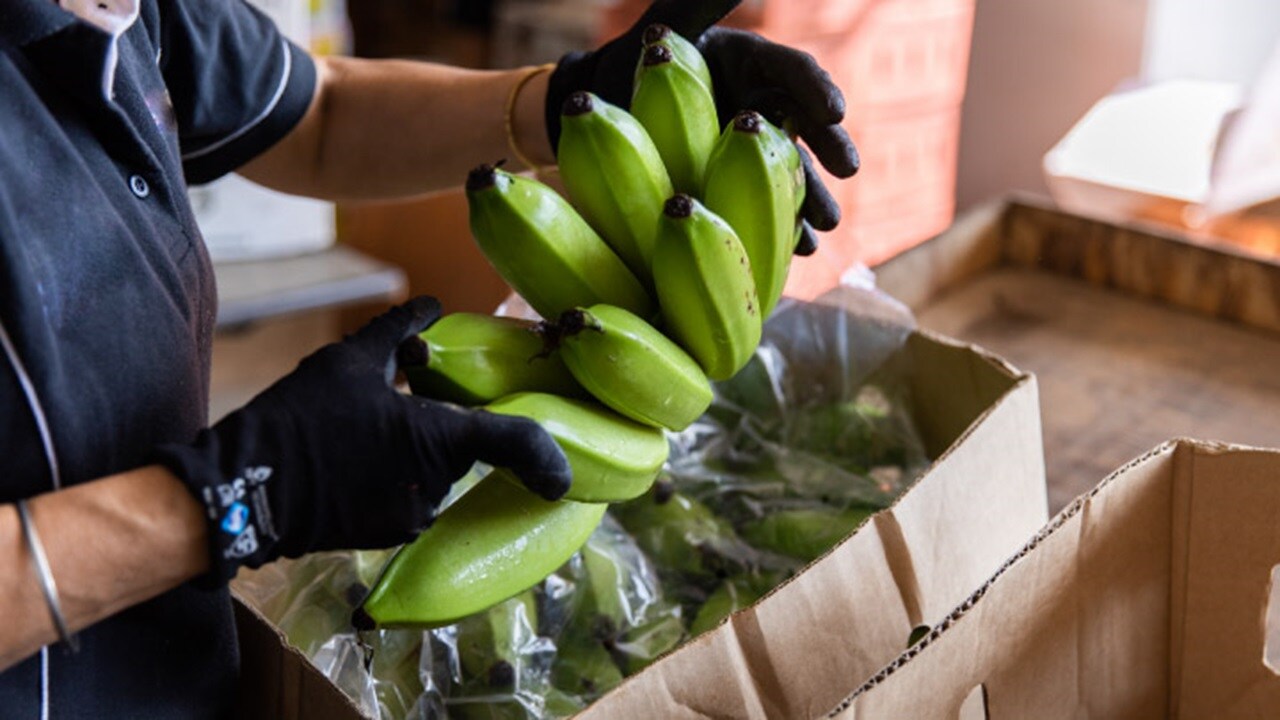 banana
